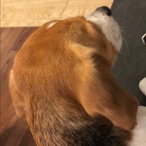 Meet your Posher, Jared